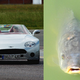 Illustration for article titled Ten cars that look like fish